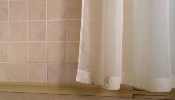 Best Biohazard Mold Removal  in Bullard, TX