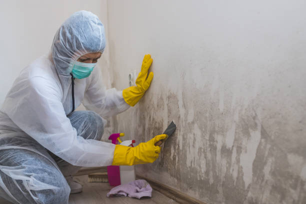 Best HVAC Mold Inspection and Cleaning  in Bullard, TX